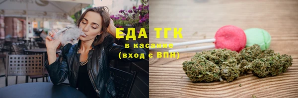 индика Ладушкин