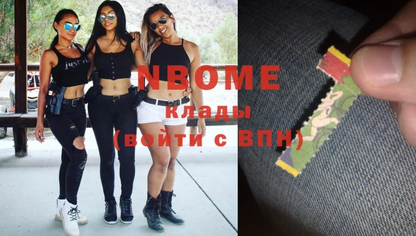 индика Ладушкин