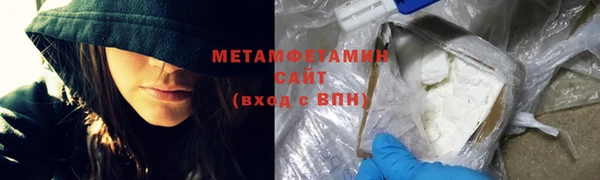 индика Ладушкин