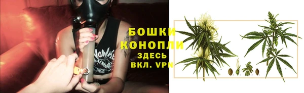 бутират Великий Новгород