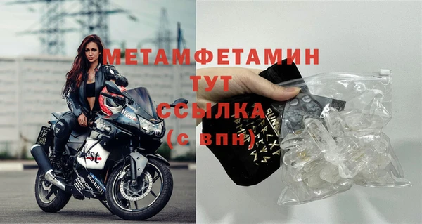 индика Ладушкин