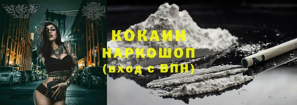 индика Ладушкин