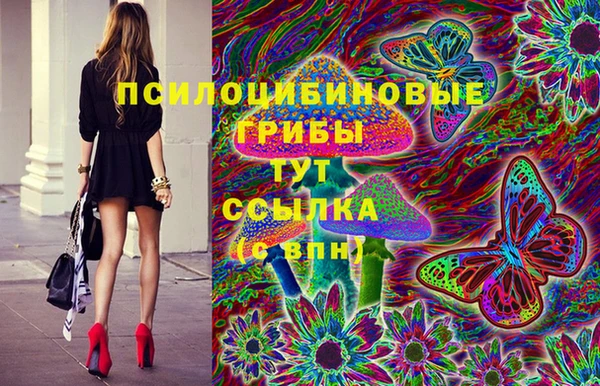 гидра Орск