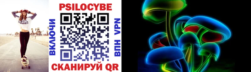 Купить  Закаменск  Галлюциногенные грибы Psilocybe 